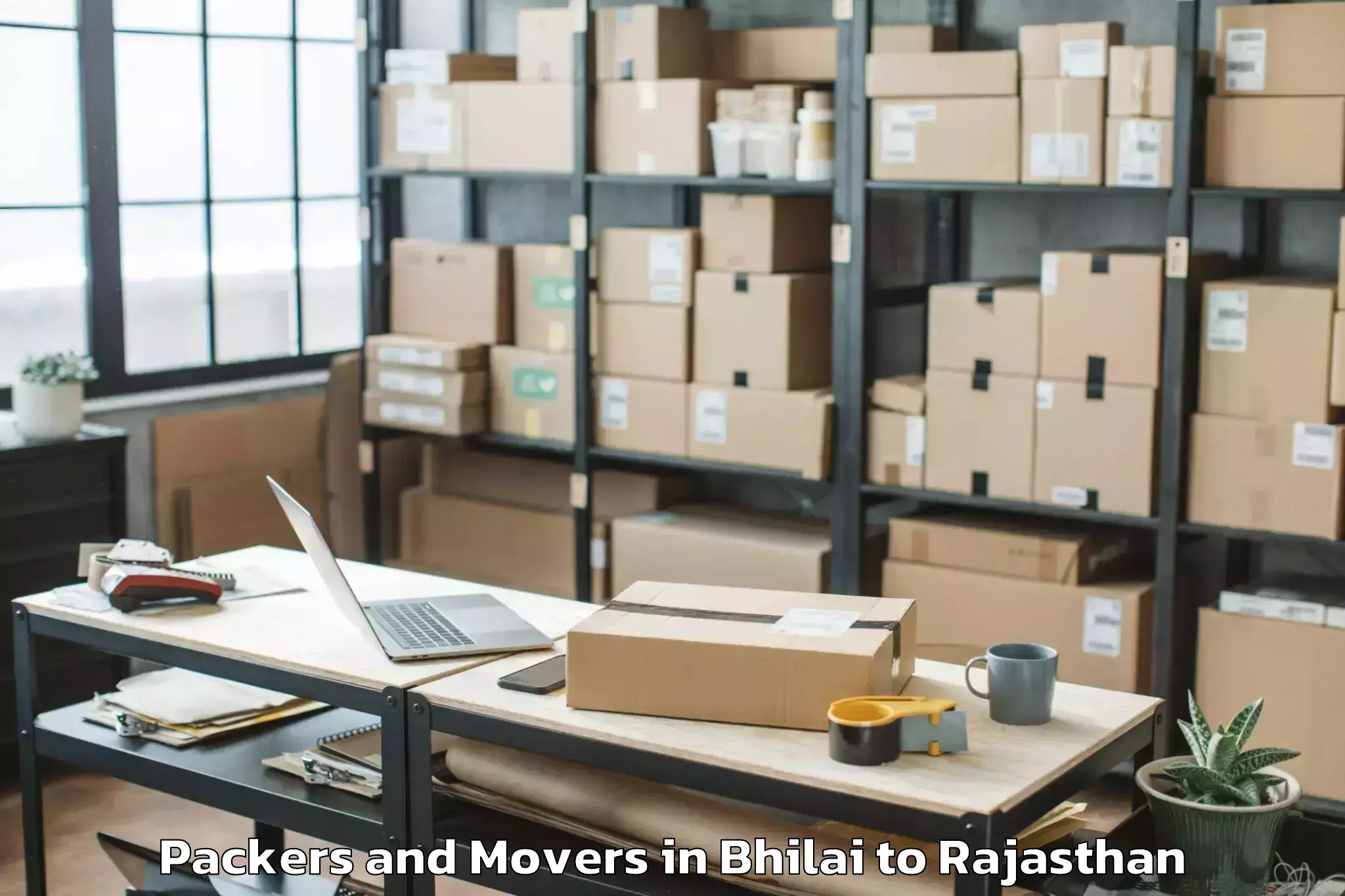 Leading Bhilai to Mavli Packers And Movers Provider